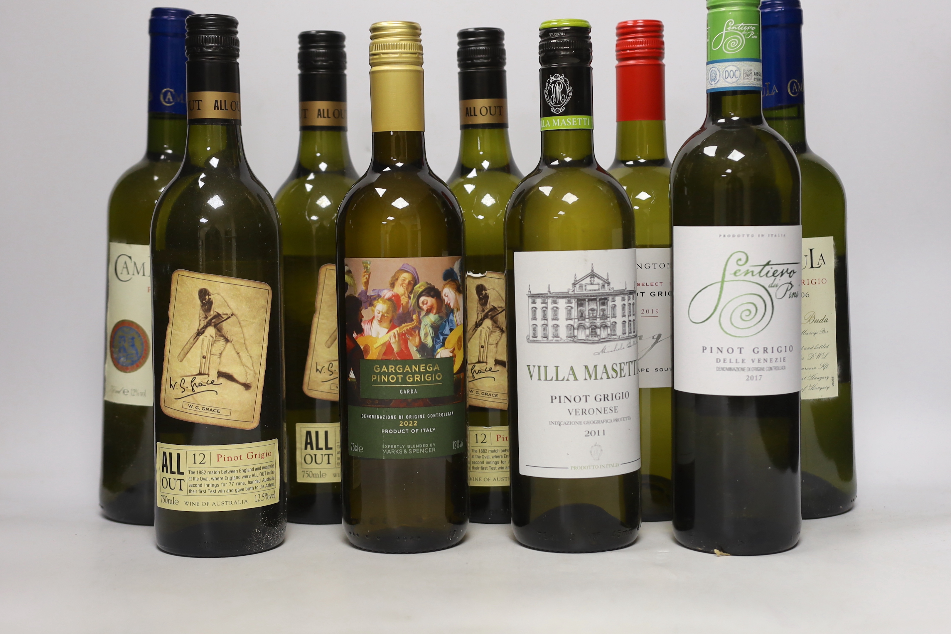Twelve bottles of white wine; Campanula, Ovington’s, All Out, Villa Maserati, etc. all Pinot Grigio